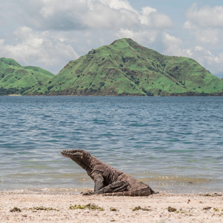 Komodo Park Fees and Permit Rules