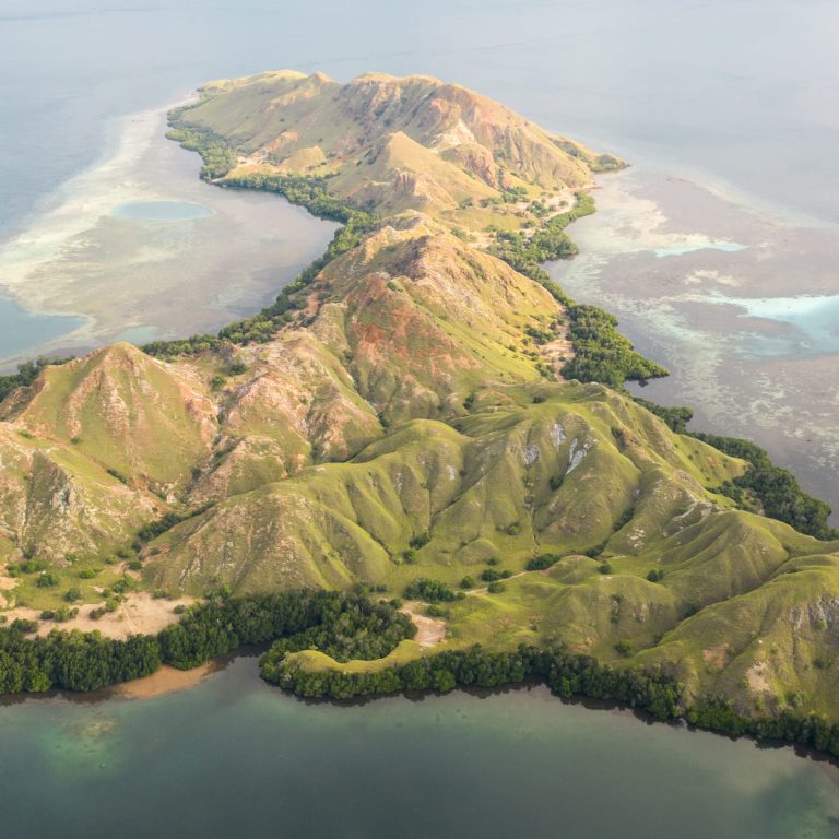 Best Snorkeling Spots in Komodo