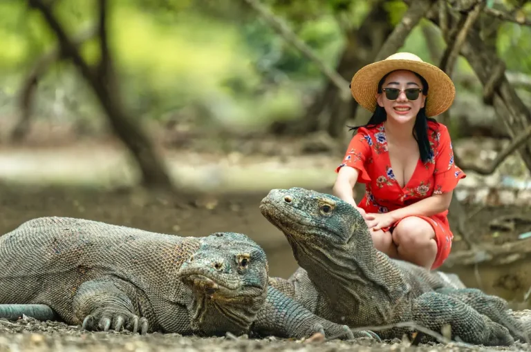 Our Ultimate Komodo Yacht Sailing Route for Seeing Dragons
