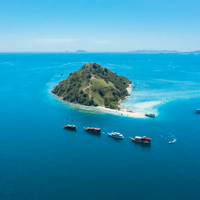 Komodo Day Trips From Labuan Bajo