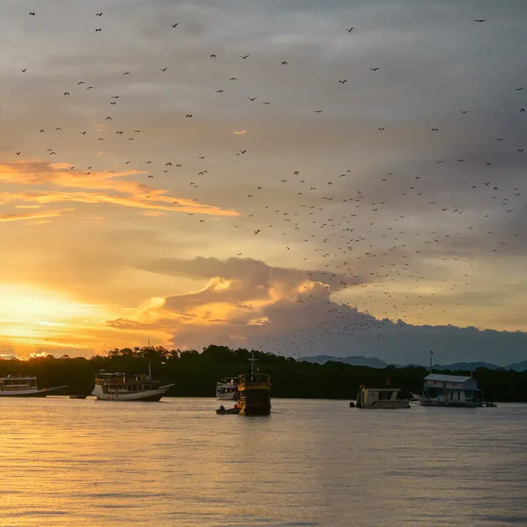 A Complete Price Guide for a Luxury Komodo Liveaboard Trip