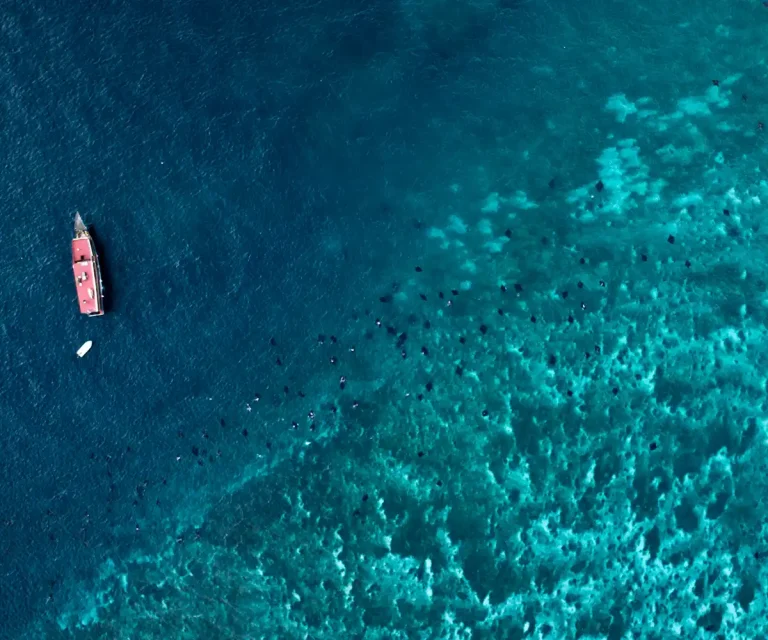 Komodo Super Yacht Prices Explained