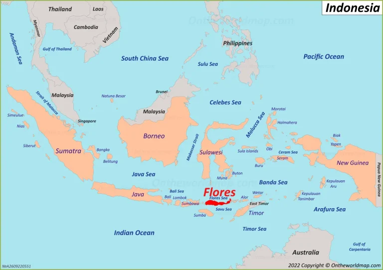 Private Yacht vs Shared Trip in Komodo